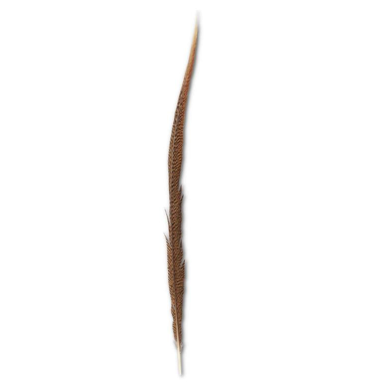 28-30 Inch Golden Tail Feather
