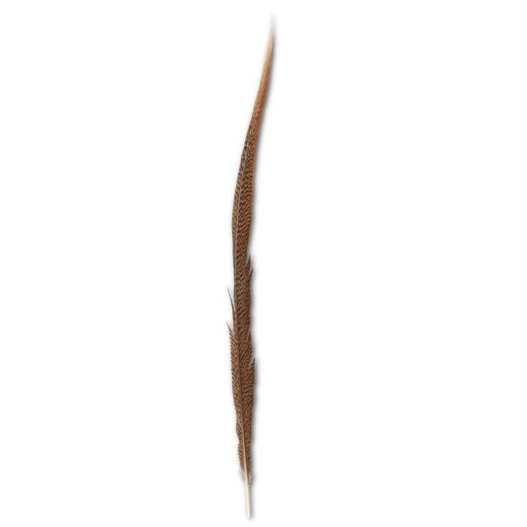 28-30 Inch Golden Tail Feather