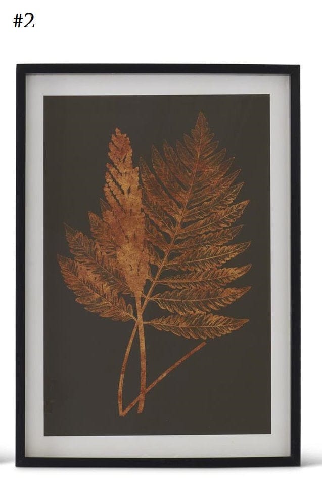 27.5 Inch Black Wood Framed Orange Ferns on Black Print