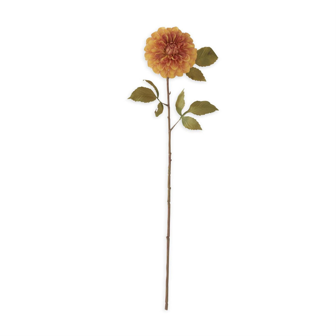 29 Inch Orange Dahlia Stem