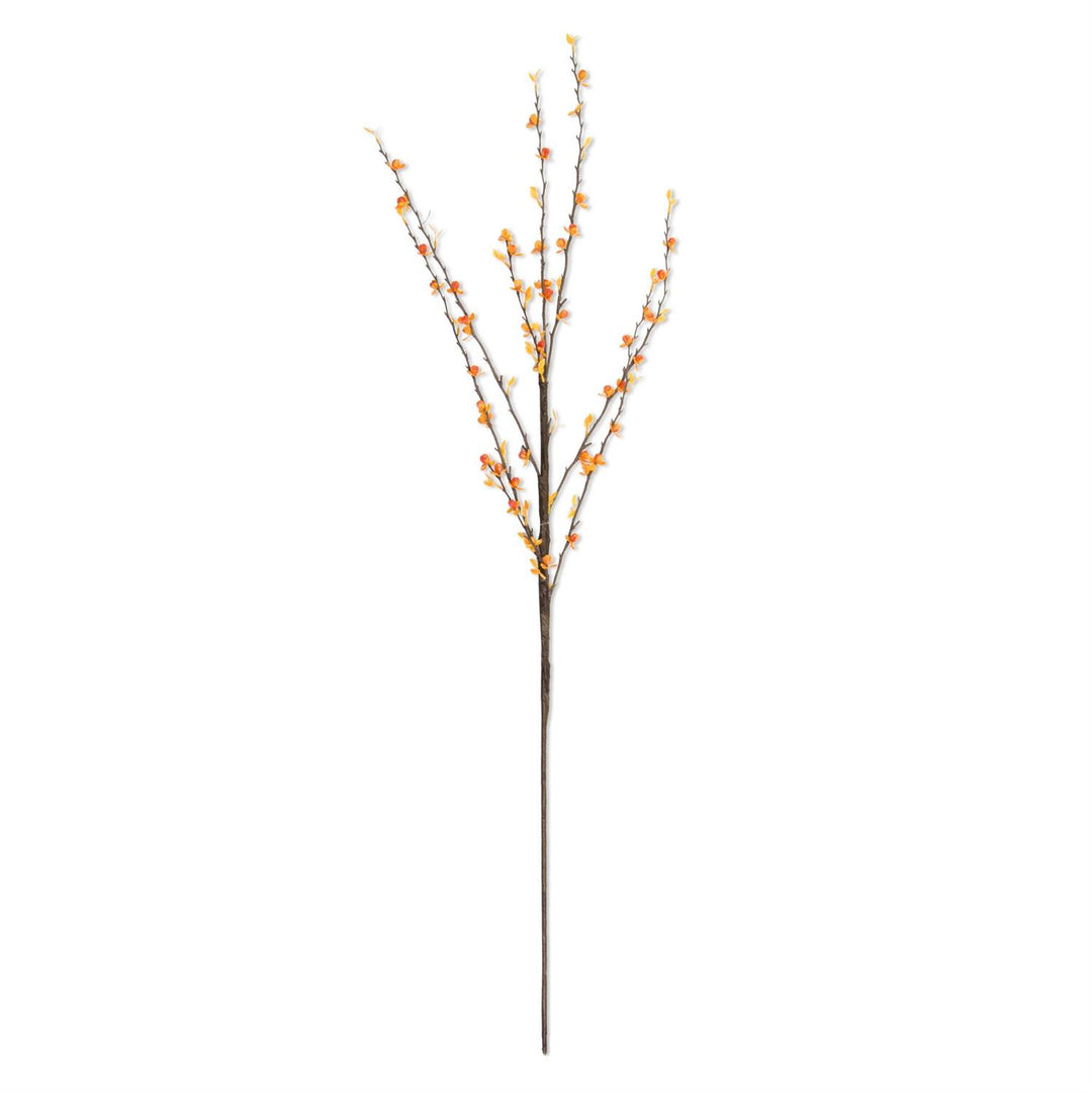 35 Inch Dark Orange Bittersweet Stem