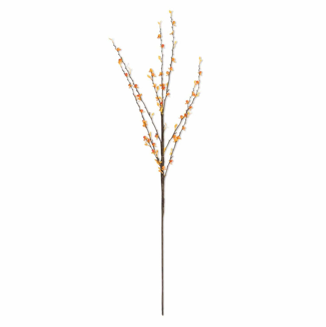 35 Inch Dark Orange Bittersweet Stem