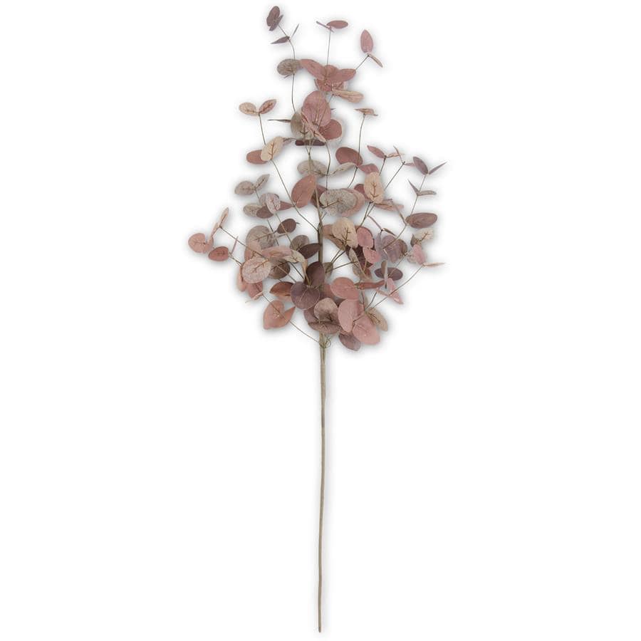 36 Inch Burgundy Two-Tone Eucalyptus Stem