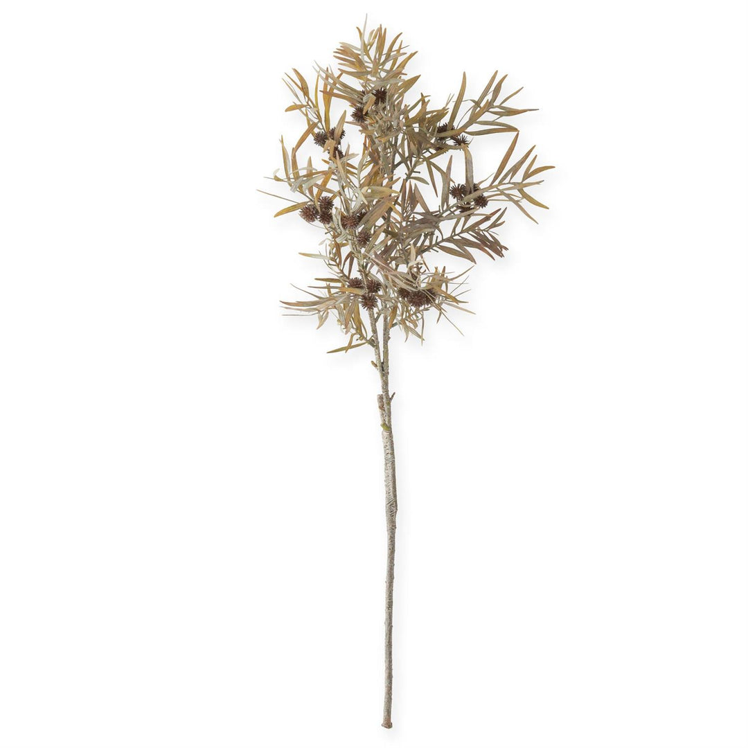 35 Inch Dark Brown Thistle & Reed Spray