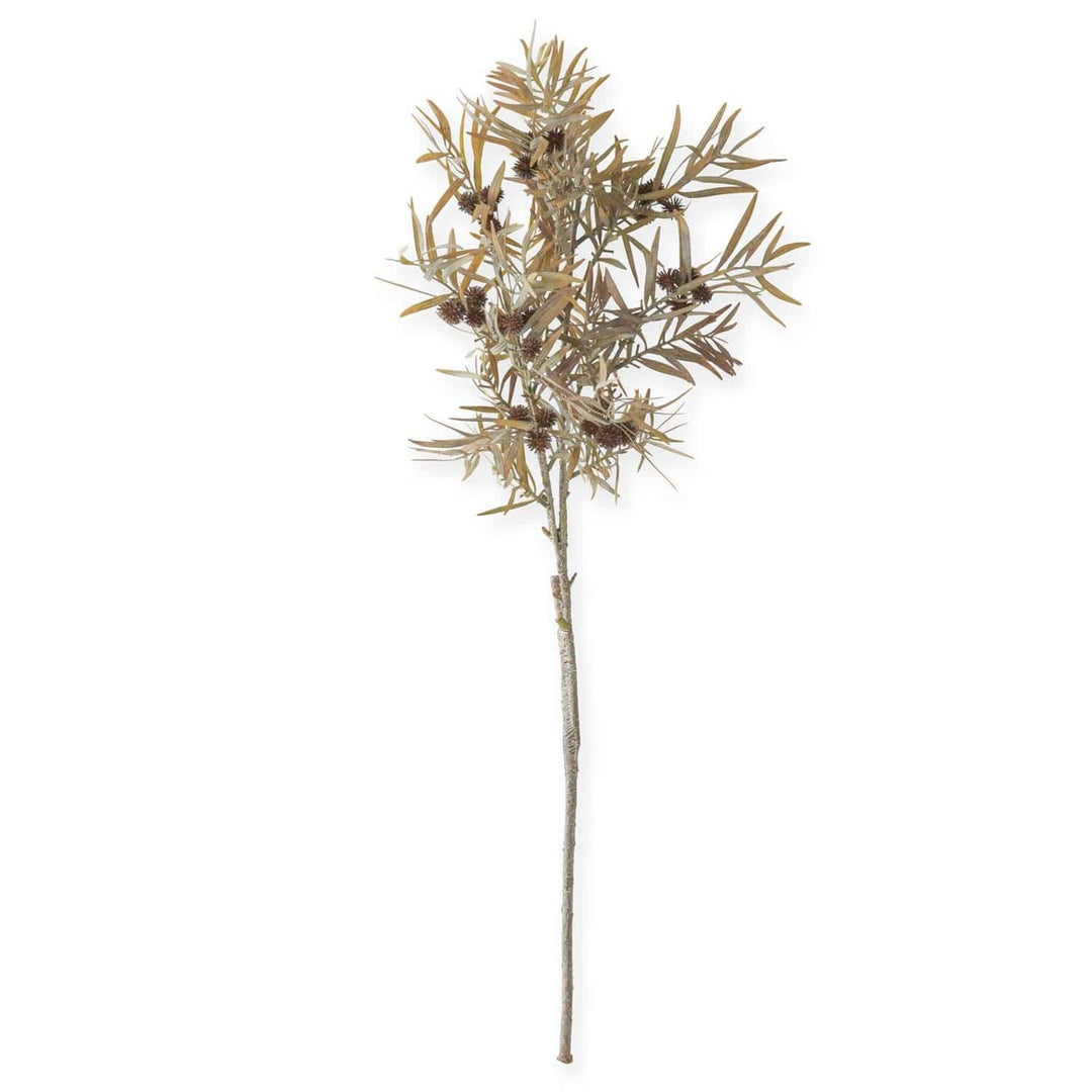 35 Inch Dark Brown Thistle & Reed Spray