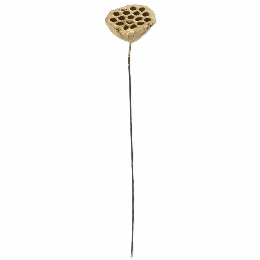 21 Inch Gold Lotus Seedpod
