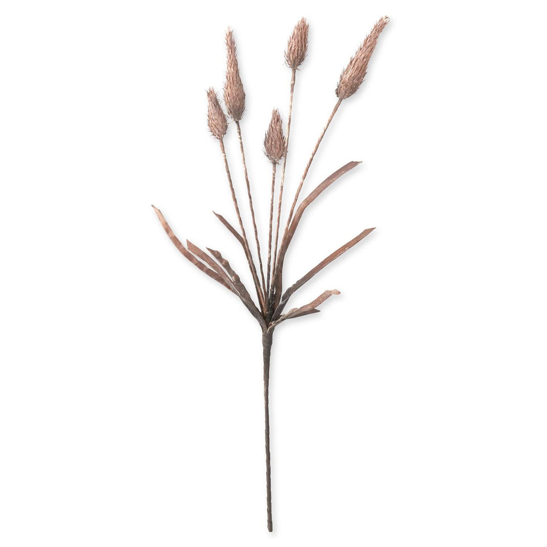 42.5 Inch Brown Cone Thistle Eva Stem