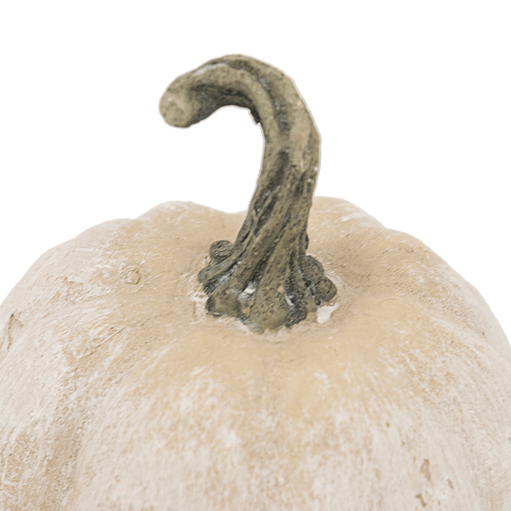 Small Whitewashed Resin Pumpkin