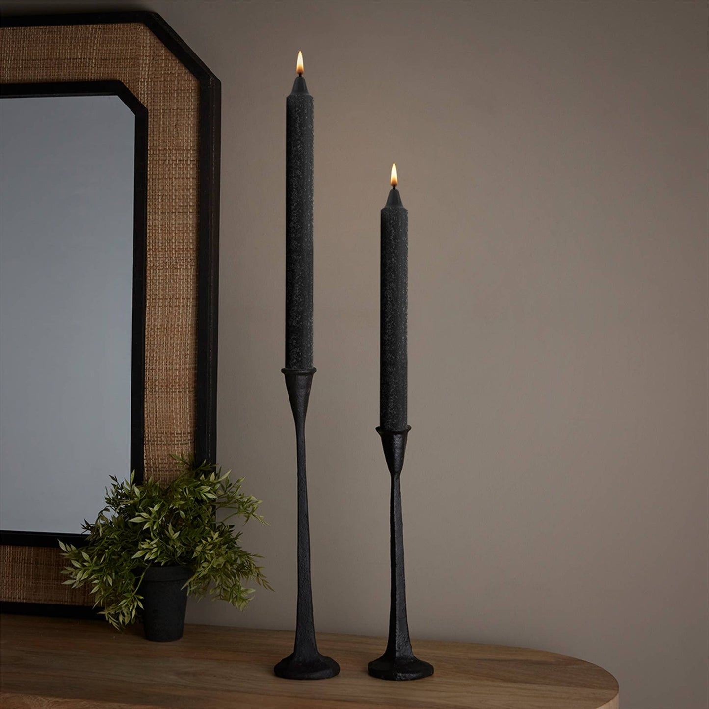 12" Root Timberline™ Arista® Wax Taper Candles - Assorted Colors