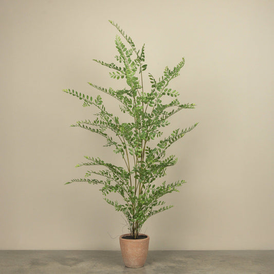 5' Potted Woody Tree