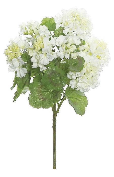 18" Cream Geranium Bush