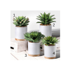 Faux Potted Succulents - 4 Types