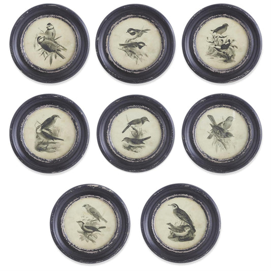 Assorted 9.75 Inch Round Black Framed Bird Prints