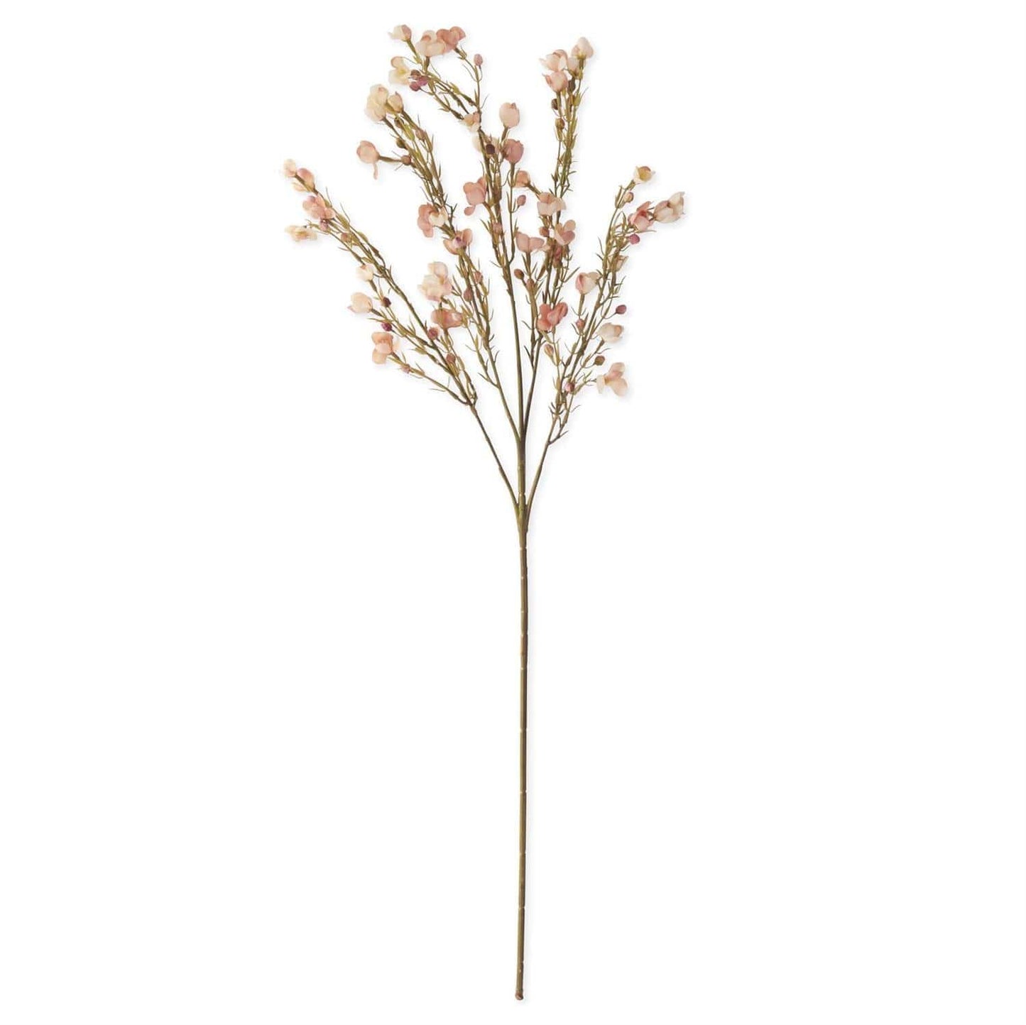 35 Inch Pink Chamelaucium Pink Floral Spray