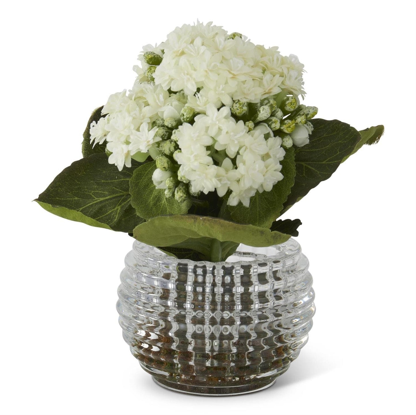 7.5 Inch Kalanchoe Premade in Pressed Glass Vase w/Faux Moss - 2 Colors Available