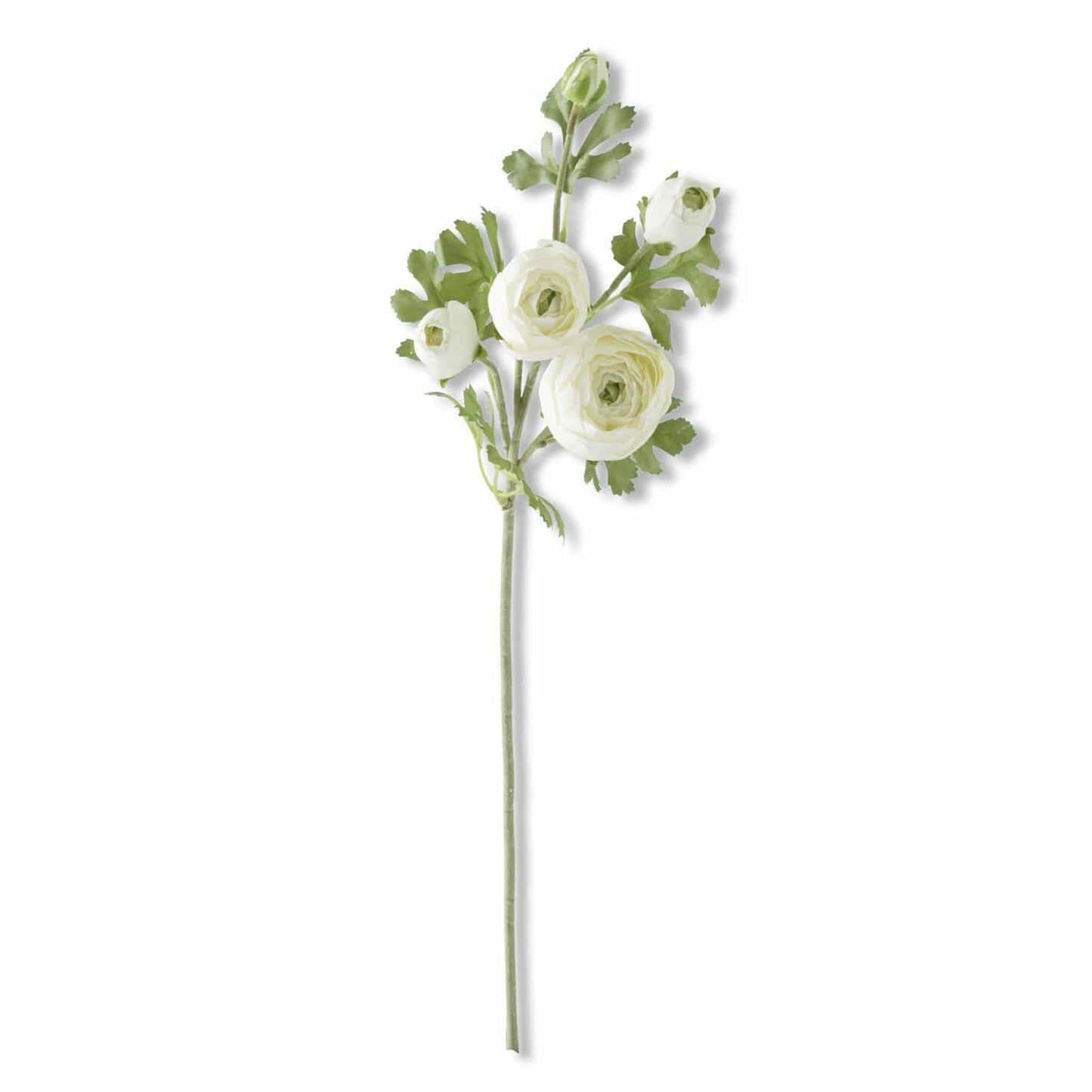 24.5 Inch White Real Touch 5 Head Ranunculus Stem