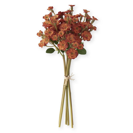 Orange Primrose Bundle (6 Stems)
