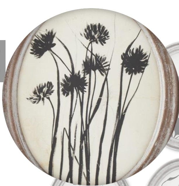 Assorted 13.75 Inch Wood Framed Oval Black & White Botanical Prints