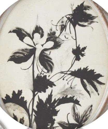 Assorted 13.75 Inch Wood Framed Oval Black & White Botanical Prints