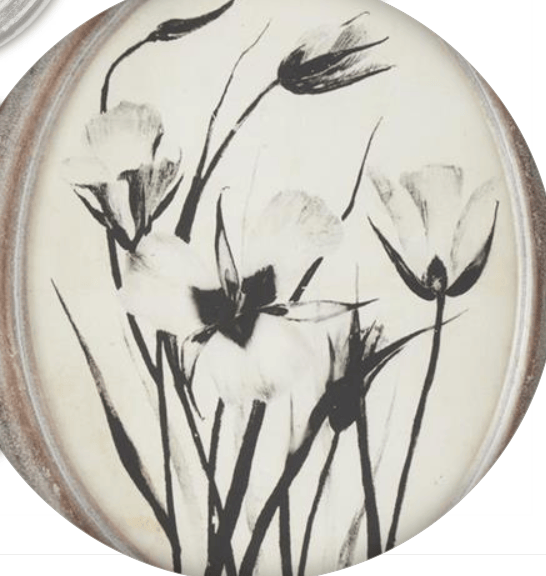 Assorted 13.75 Inch Wood Framed Oval Black & White Botanical Prints