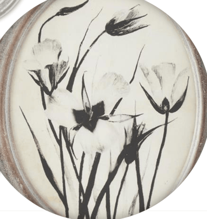 Assorted 13.75 Inch Wood Framed Oval Black & White Botanical Prints