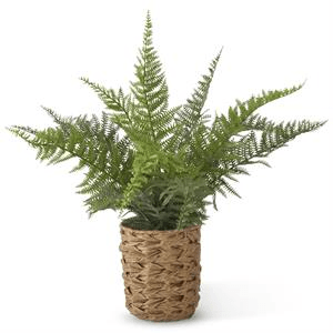 19148A-1 Ferns in Woven Pot w/ Faux Rocks