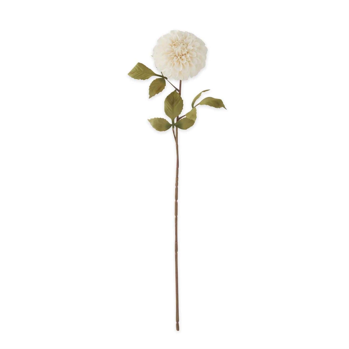 White Dahlia Stem