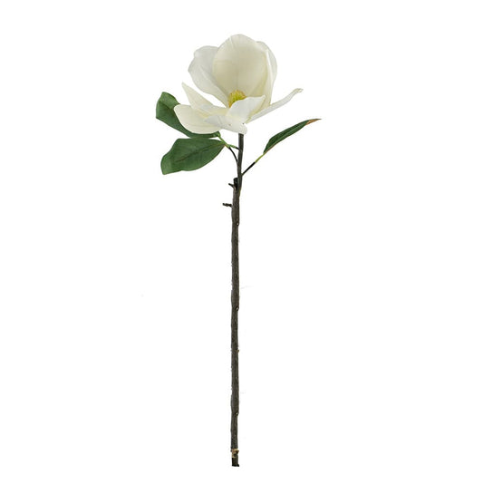 Magnolia Stem, White