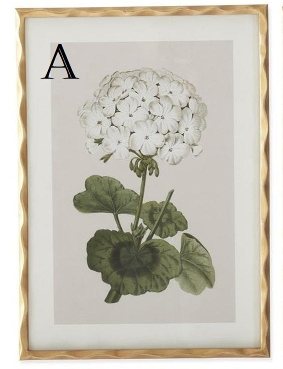 27.5 Inch Gold Ornate Wood Framed White Geranium Prints - 4 Assorted Sold Separately