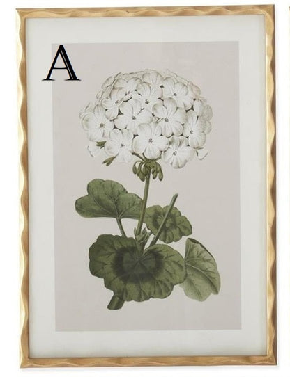 27.5 Inch Gold Ornate Wood Framed White Geranium Prints - 4 Assorted Sold Separately