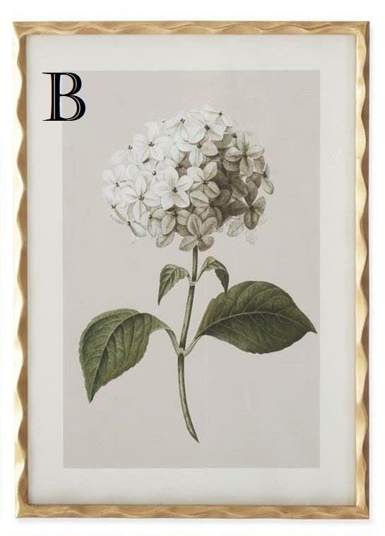 27.5 Inch Gold Ornate Wood Framed White Geranium Prints - 4 Assorted Sold Separately