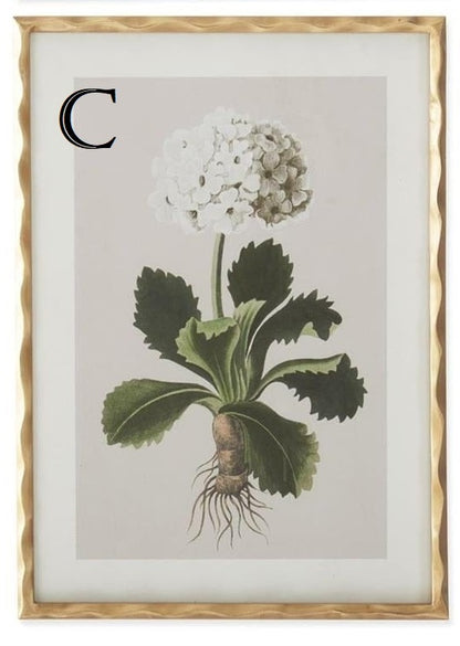 27.5 Inch Gold Ornate Wood Framed White Geranium Prints - 4 Assorted Sold Separately