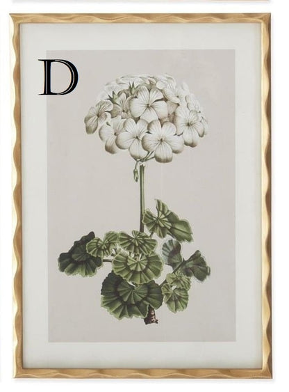 27.5 Inch Gold Ornate Wood Framed White Geranium Prints - 4 Assorted Sold Separately