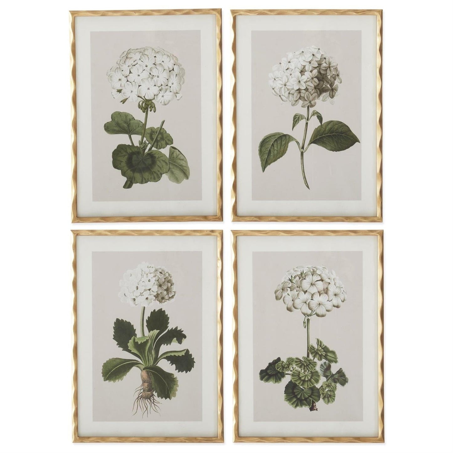 27.5 Inch Gold Ornate Wood Framed White Geranium Prints - 4 Assorted Sold Separately