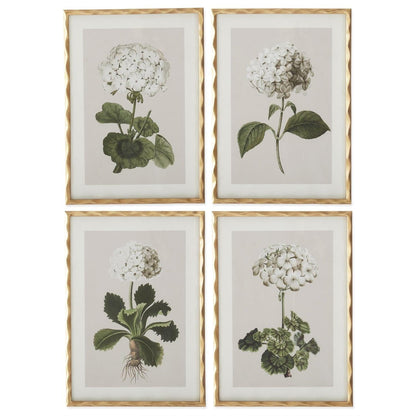 27.5 Inch Gold Ornate Wood Framed White Geranium Prints - 4 Assorted Sold Separately