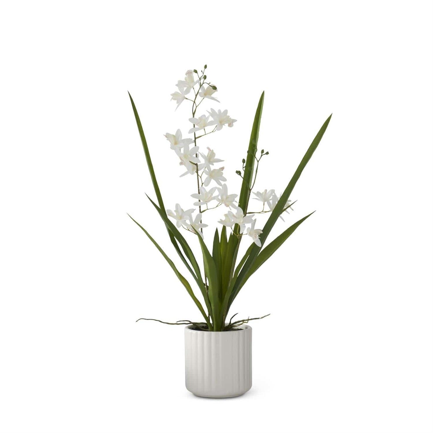 21.75 Inch Real Touch White Orchid in White Ribbed Ceramic Pot