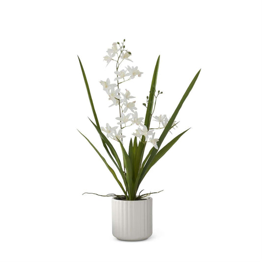 21.75 Inch Real Touch White Orchid in White Ribbed Ceramic Pot