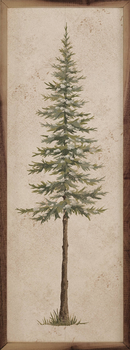 Vintage Pine Tree Art Print