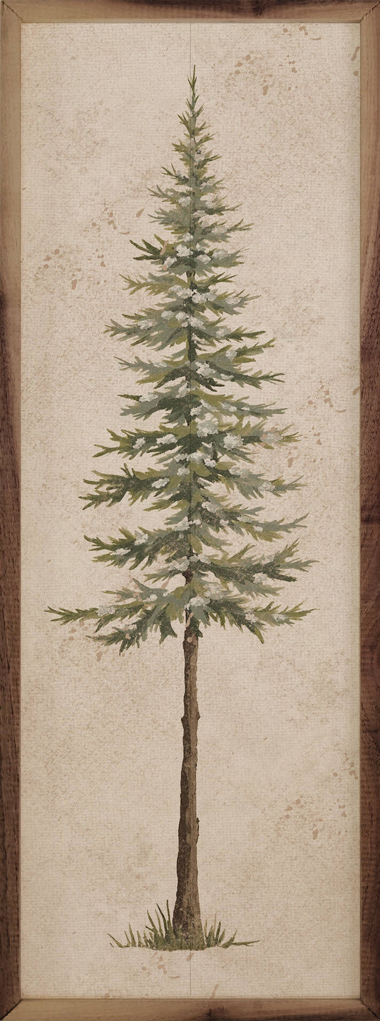 Vintage Pine Tree Art Print