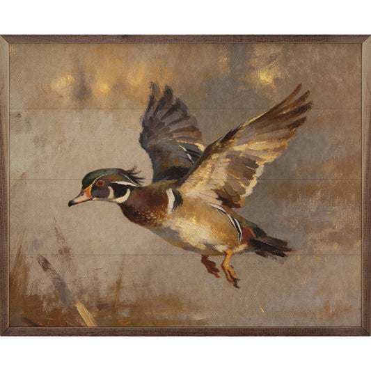 Framed oil painting of a male wood duck in flight, warm earth tones