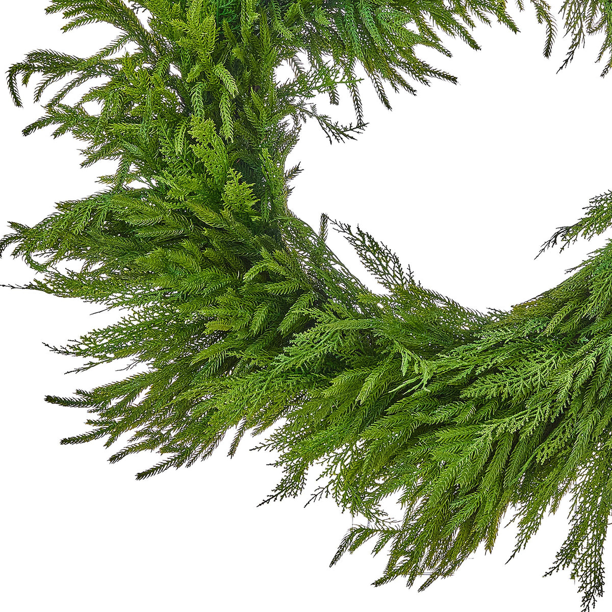 Close-up of a lush green cedar and Norfolk pine wreath with feathery branches on white background