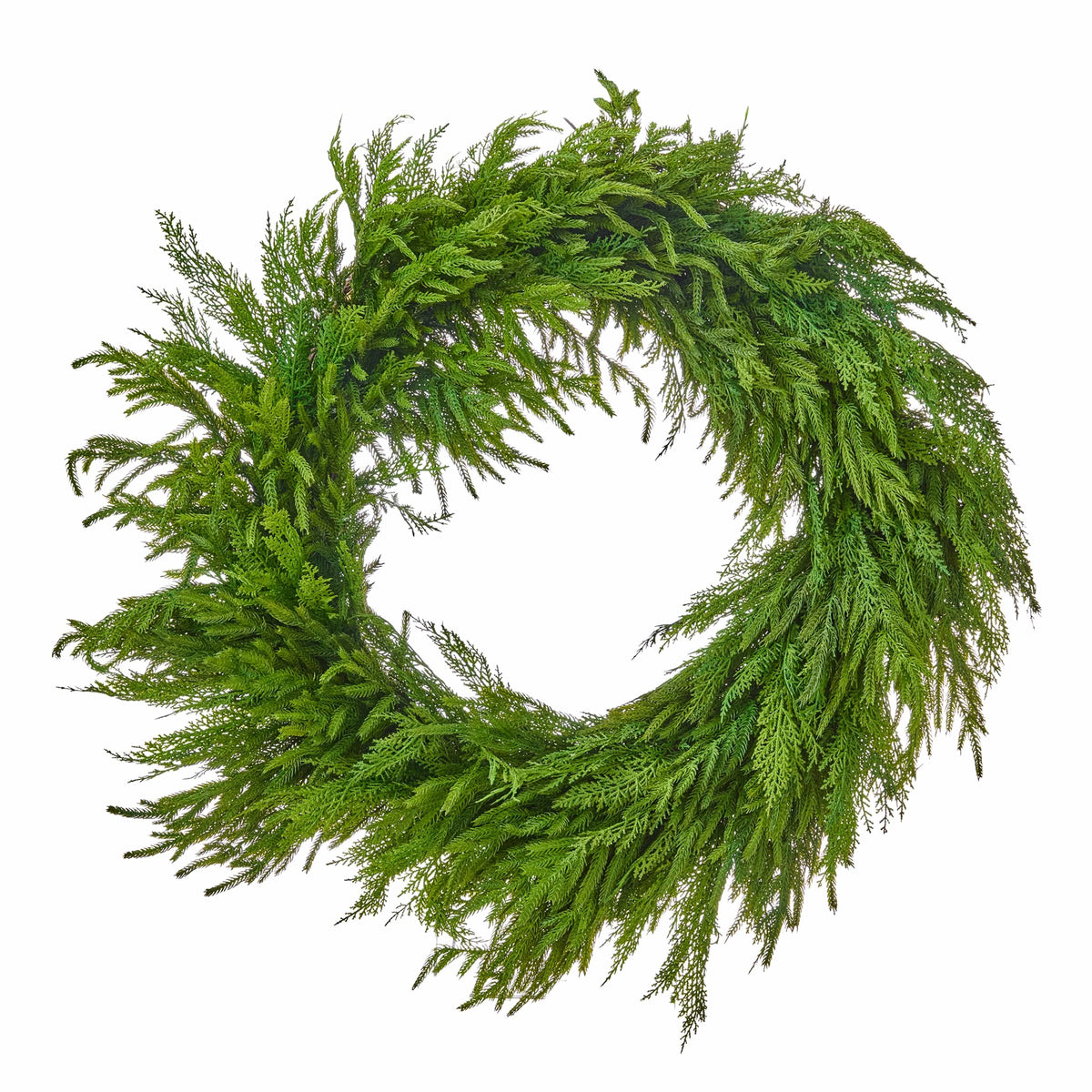 Large round cedar and Norfolk pine wreath with lush, cascading green foliage on white background