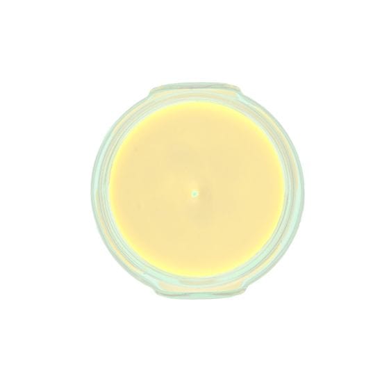 3.4oz Candle - Pineapple Crush®