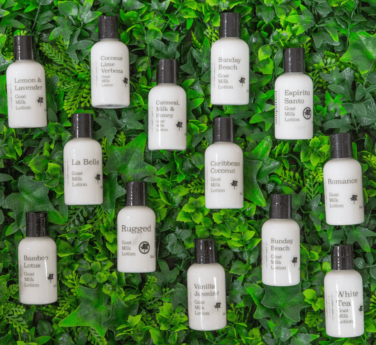 Goat Milk Hand Lotion