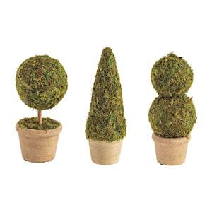 Single Moss Covered Topiary