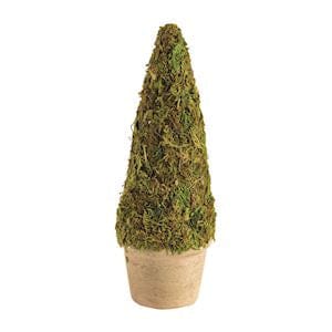 Single Moss Covered Topiary