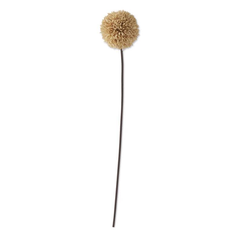 Artificial tan allium stem with round fluffy flower head on dark brown stem
