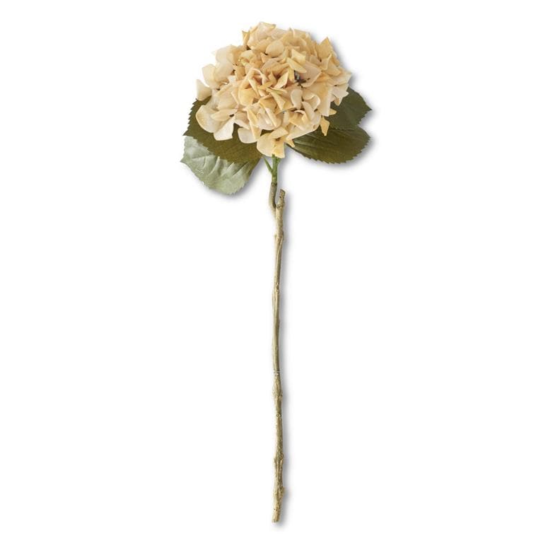 Cream real touch hydrangea stem with green leaves on natural wood stem