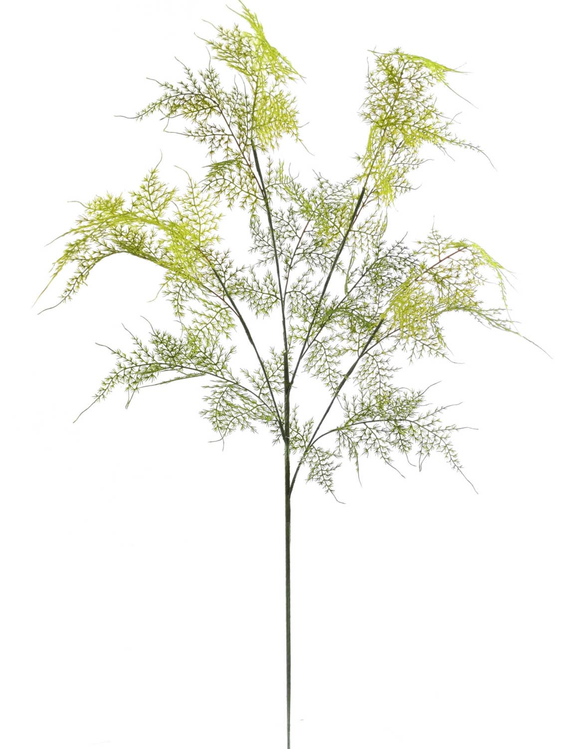 35" Asparagus Spray - Realistic Faux Greenery For Home Decor