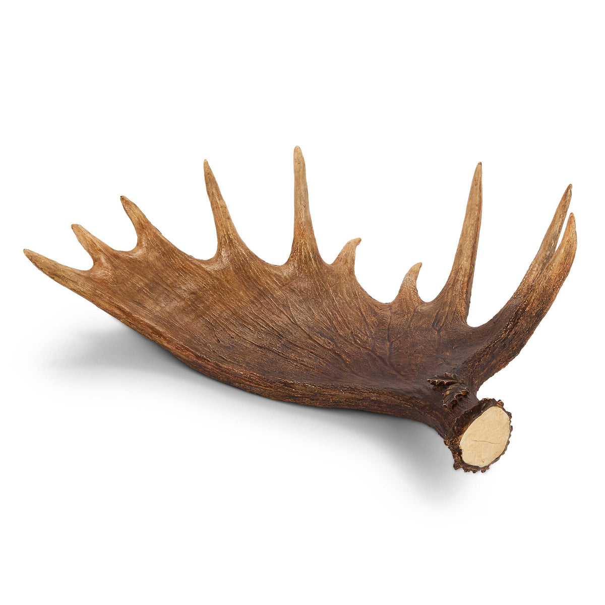 Large moose antler-shaped decorative tray with palmated form and multiple tines, angled view
